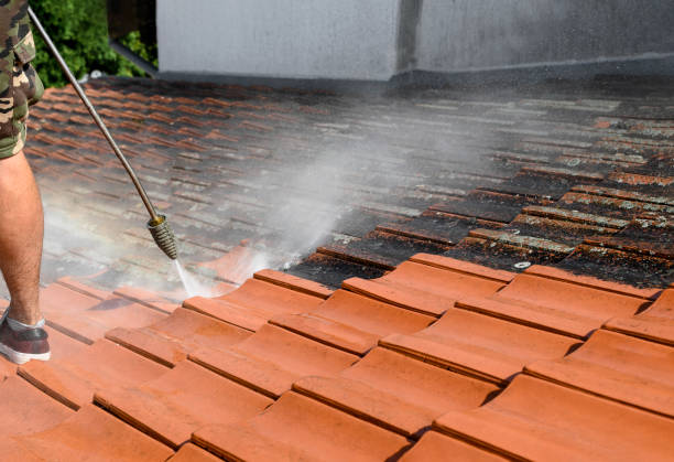 Best Local Pressure Washing Services  in West Brattleboro, VT